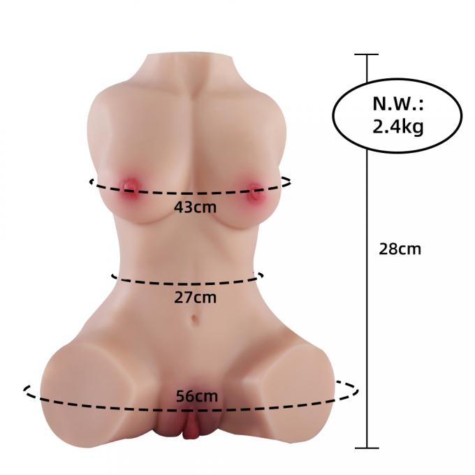 SQ-MA20025 TPR sex doll torso specifications