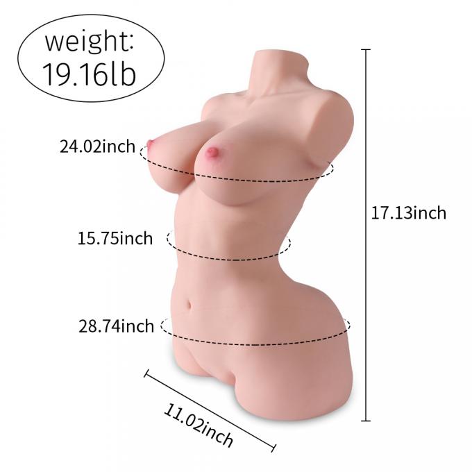Size comparison with common objects