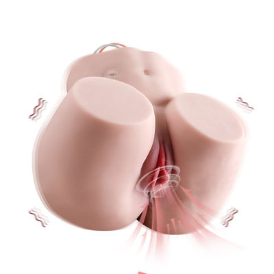 XISE New Arrival Sucking And Vibrating Ass Masturbator Automatic Water Drainage Cleaning 6.1 kg Masturbator