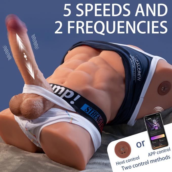 Fitter Male Torso multiple angles