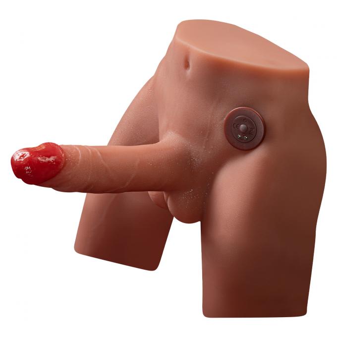 TPR Dildo Torso Toy size comparison
